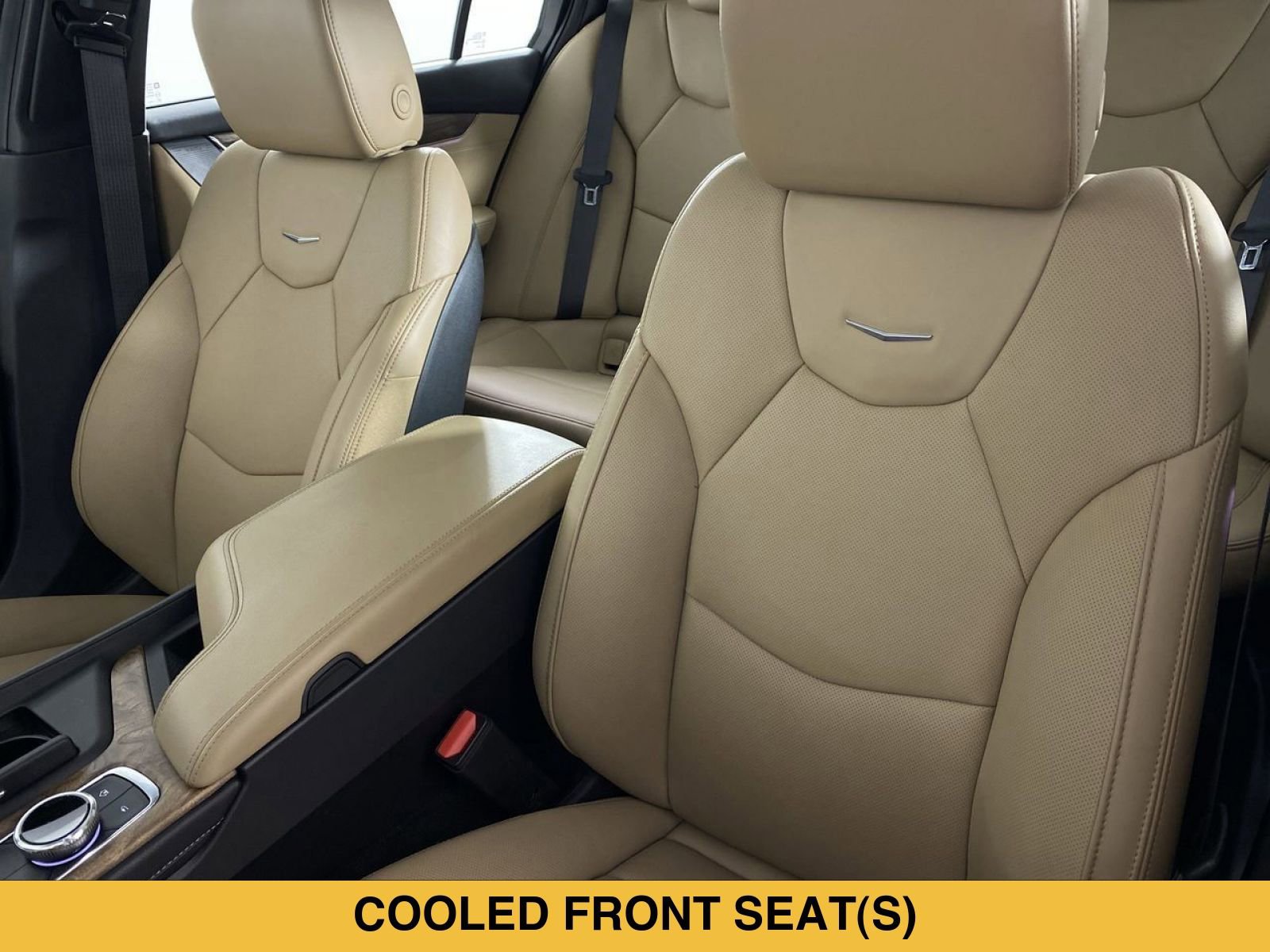 Certified 2025 Cadillac CT5 Premium Luxury RWD image 11