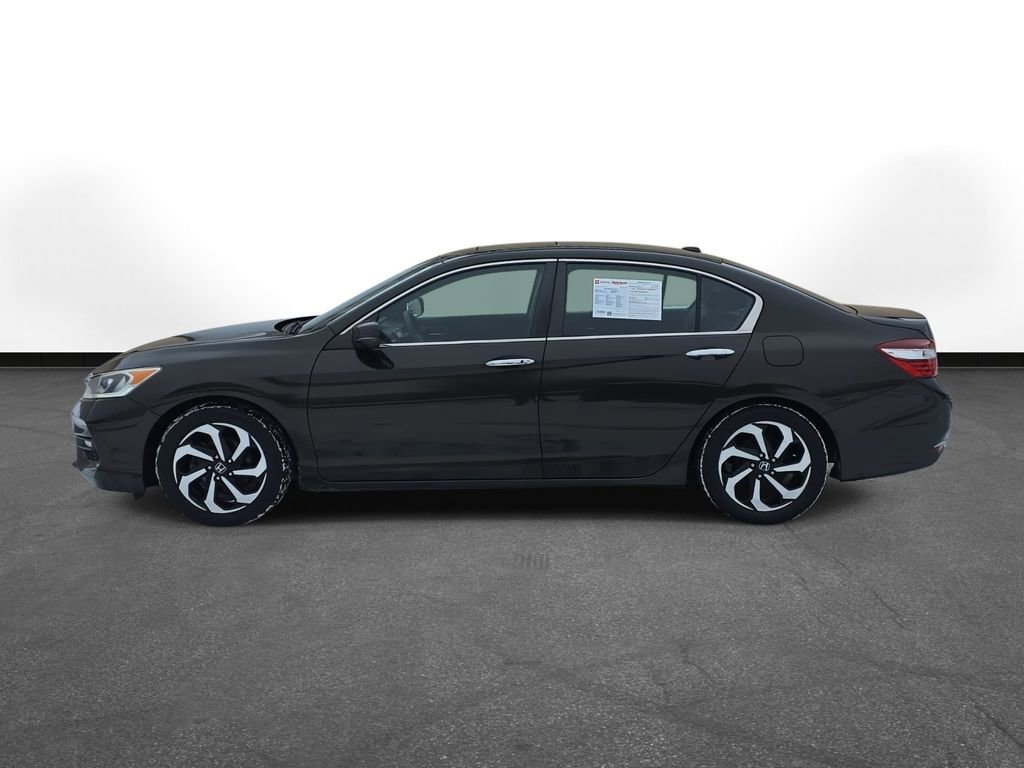 Used 2016 Honda Accord EX-L image 9