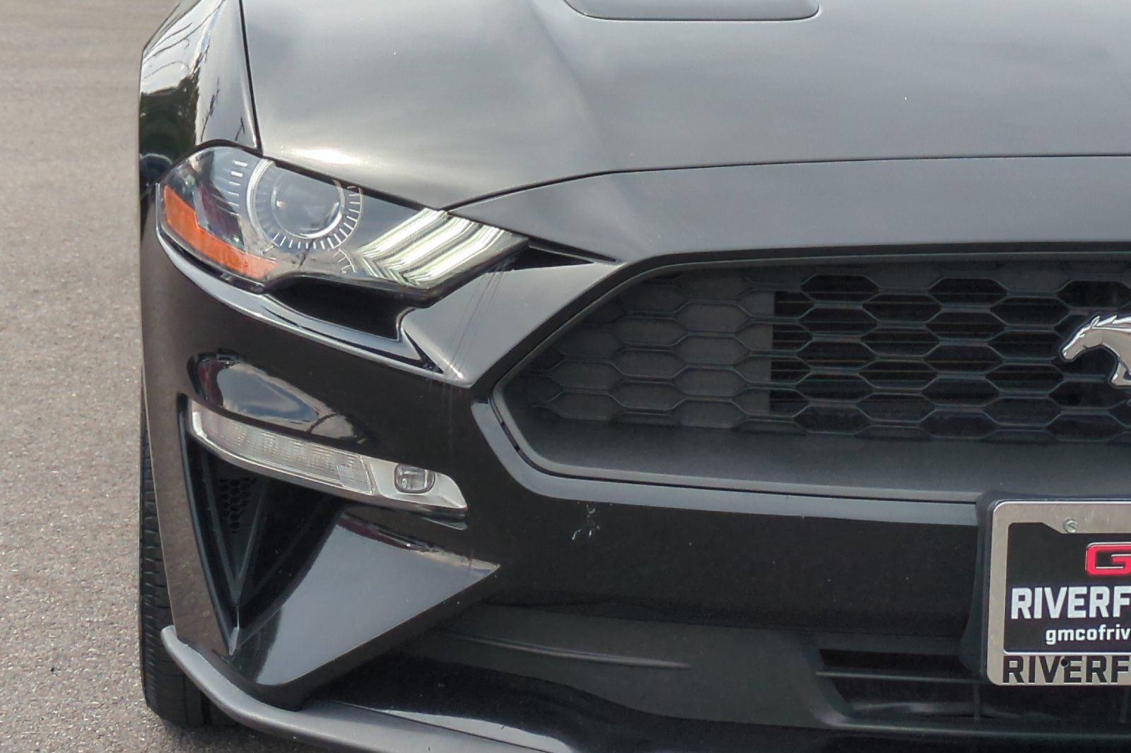 Used 2019 Ford Mustang Premium w/ Equipment Group 201A RWD image 46