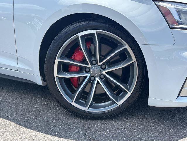 Used 2019 Audi S5 Premium Plus w/ Premium Plus AWD/4WD image 4