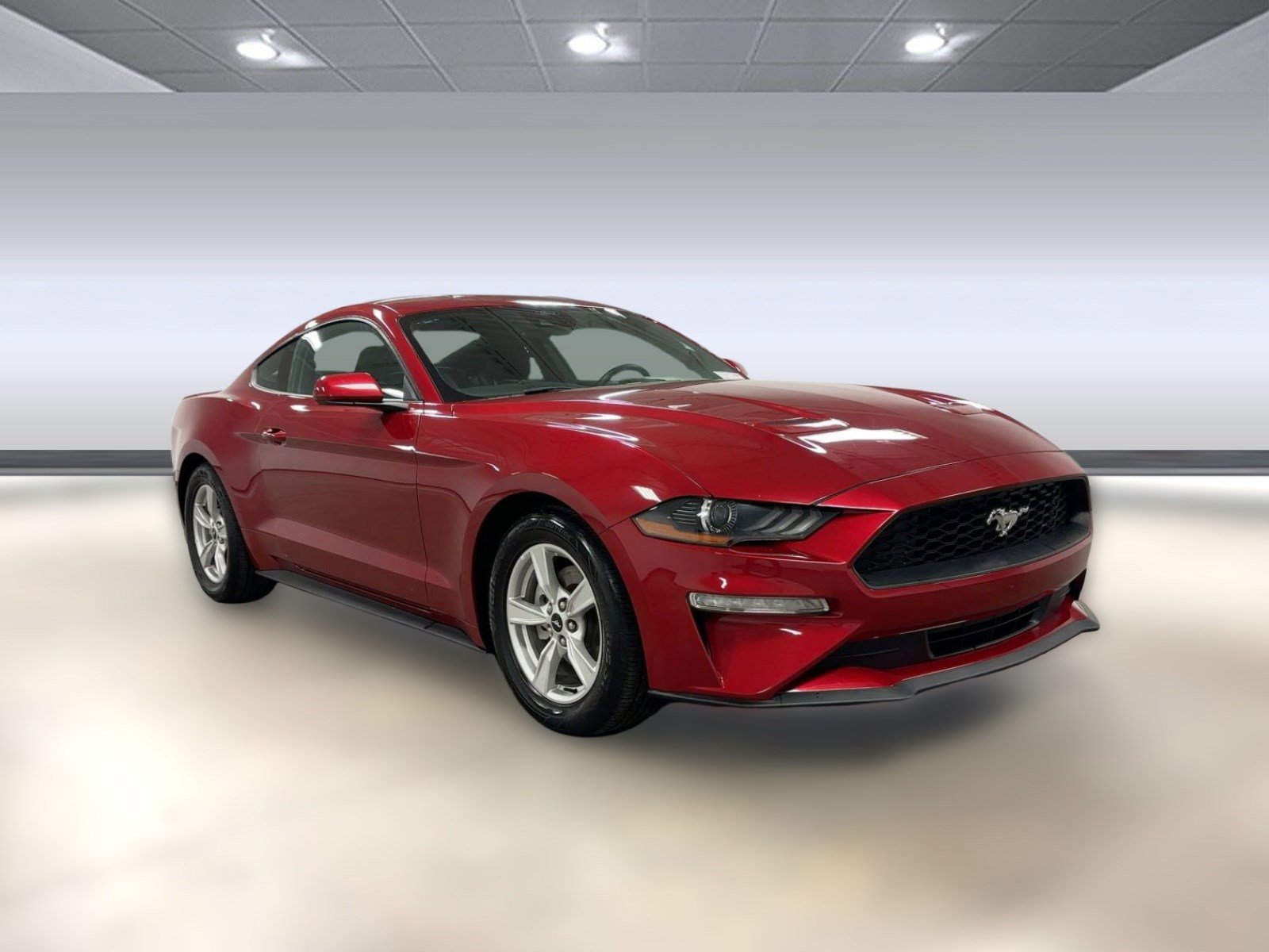 Used 2023 Ford Mustang EcoBoost image 7