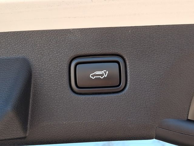 Used 2024 Kia Sportage X-Pro Prestige image 32