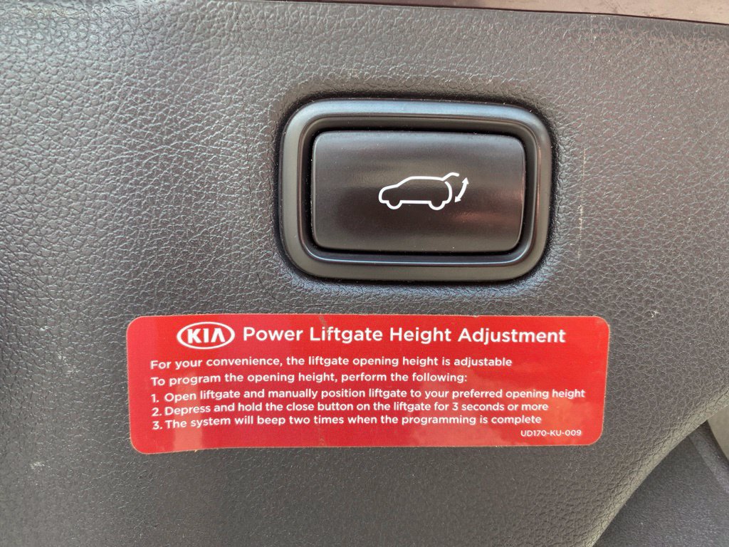 Used 2018 Kia Sedona SX Limited FWD image 34