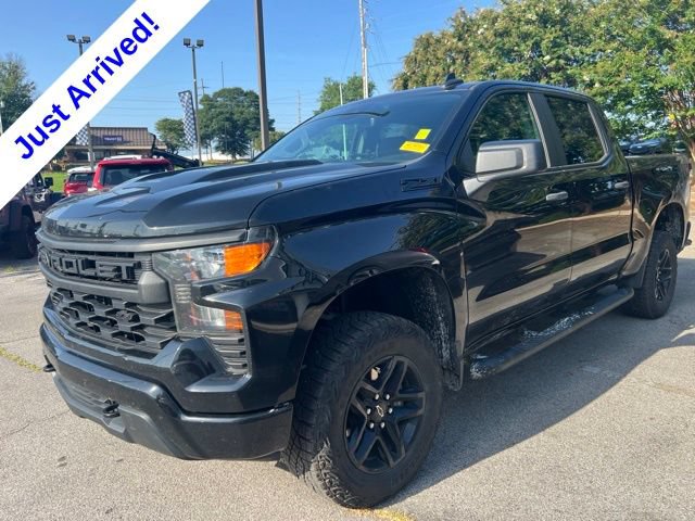 Used 2024 Chevrolet Silverado 1500 Custom Trail Boss w/ Realtree Special Edition AWD/4WD image 10