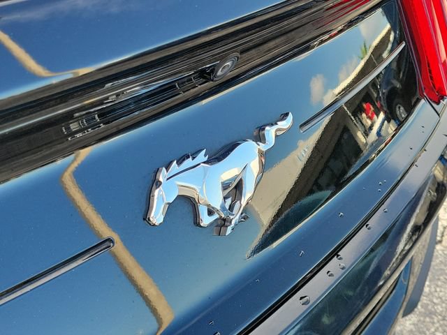 Used 2022 Ford Mustang Premium RWD image 5