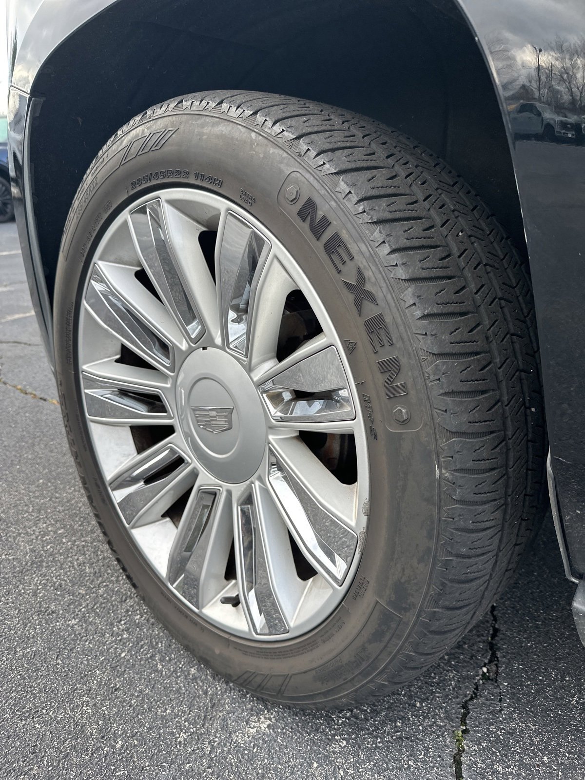 Used 2016 Cadillac Escalade Platinum image 5