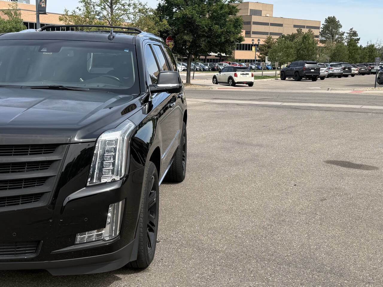 Used 2016 Cadillac Escalade Premium AWD/4WD image 4