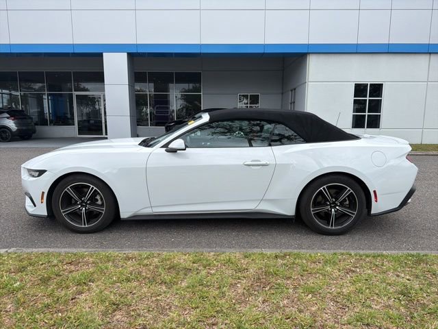 Used 2024 Ford Mustang Premium RWD image 3