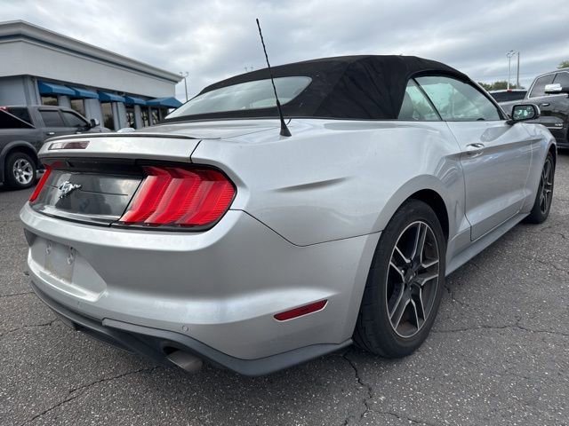 Certified 2019 Ford Mustang Premium RWD image 5