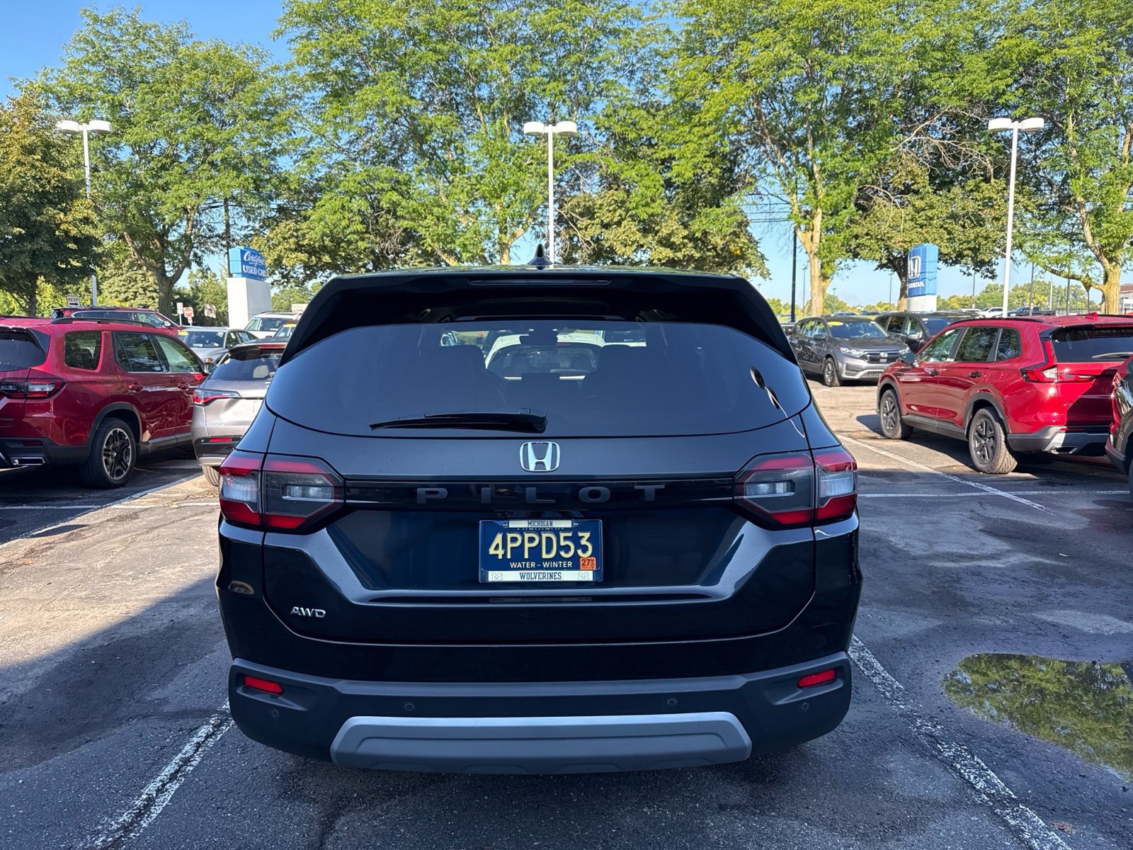 Certified 2025 Honda Pilot EX-L image 6