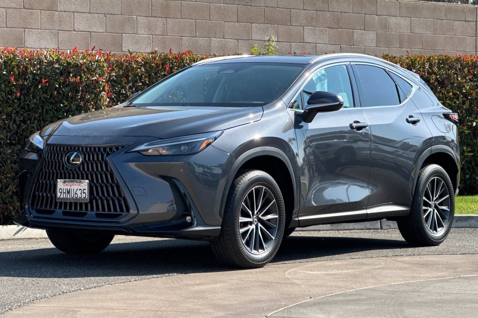 Certified 2024 Lexus NX 250 FWD image 8