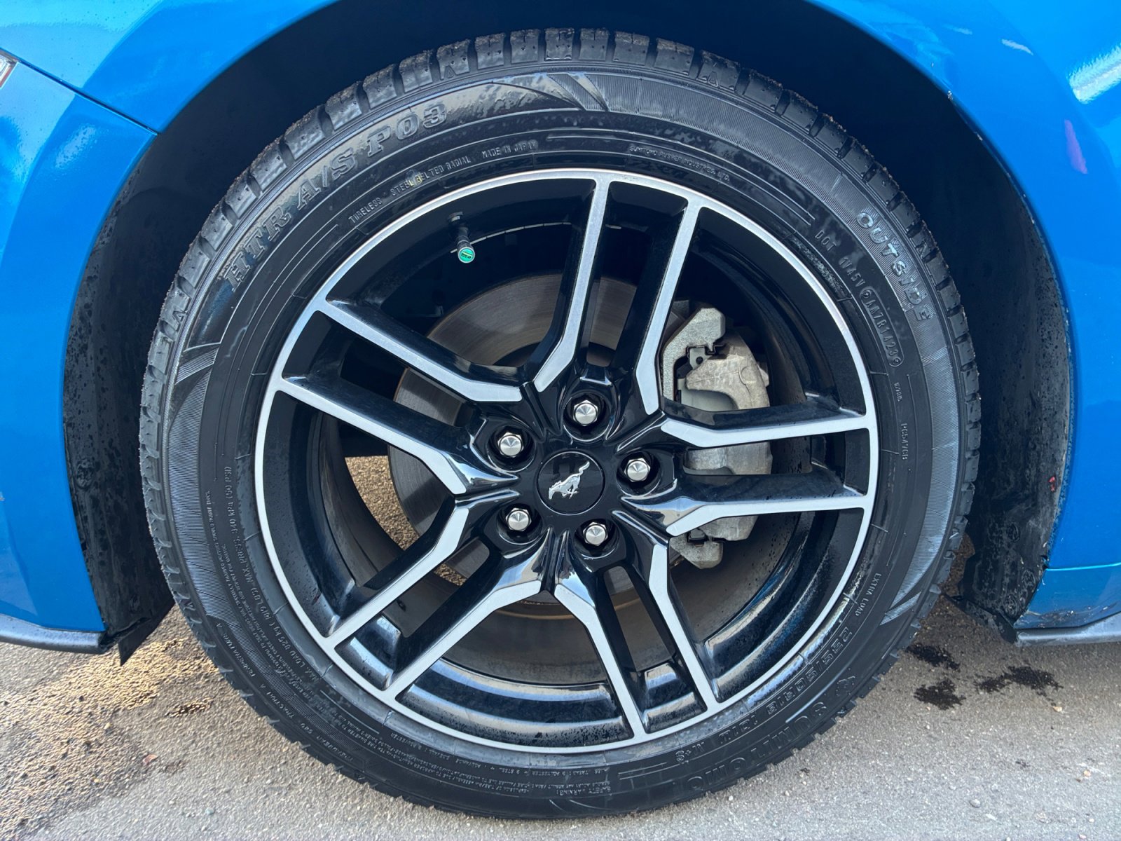 Used 2020 Ford Mustang EcoBoost w/ Equipment Group 101A image 11