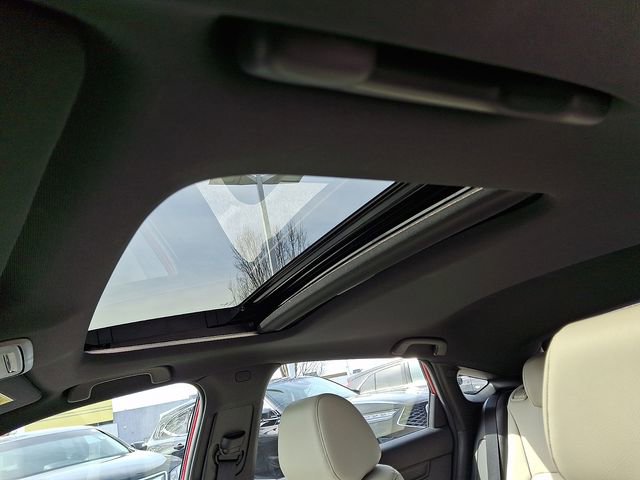 Certified 2025 Acura Integra A-Spec image 14