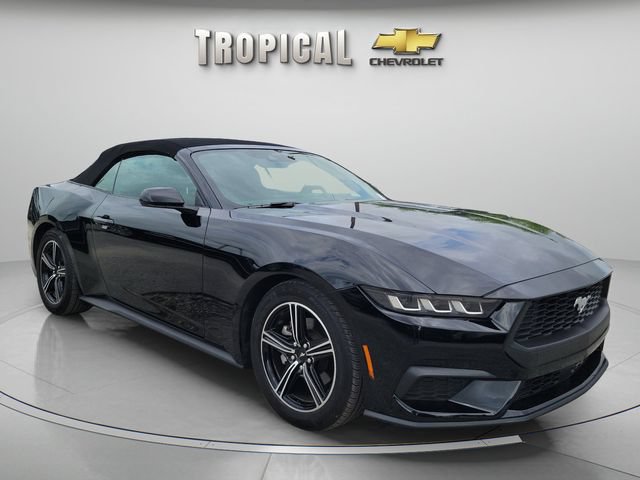 Used 2025 Ford Mustang Convertible RWD image 6