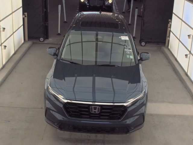Used 2026 Honda CR-V EX-L image 7