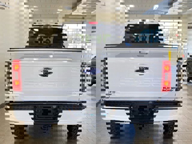 Used 2023 Ford F150 XLT w/ Equipment Group 302A High image 6