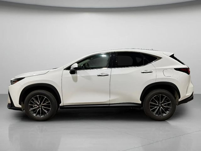 Certified 2026 Lexus NX 350 AWD w/ Cold Area Package image 7