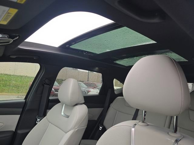 New 2026 Hyundai Tucson Limited image 4