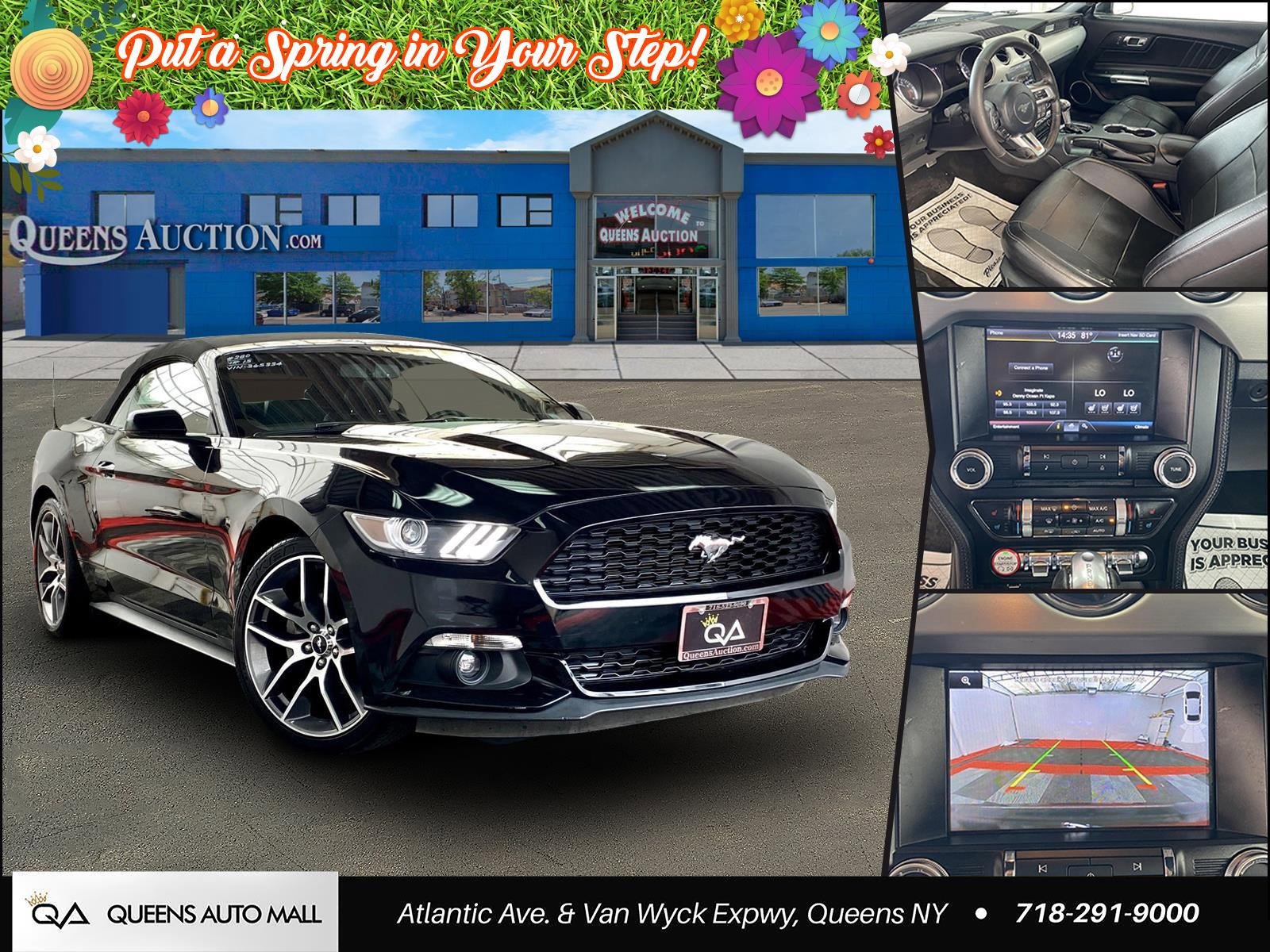 Used 2015 Ford Mustang Premium w/ Equipment Group 201A image 1