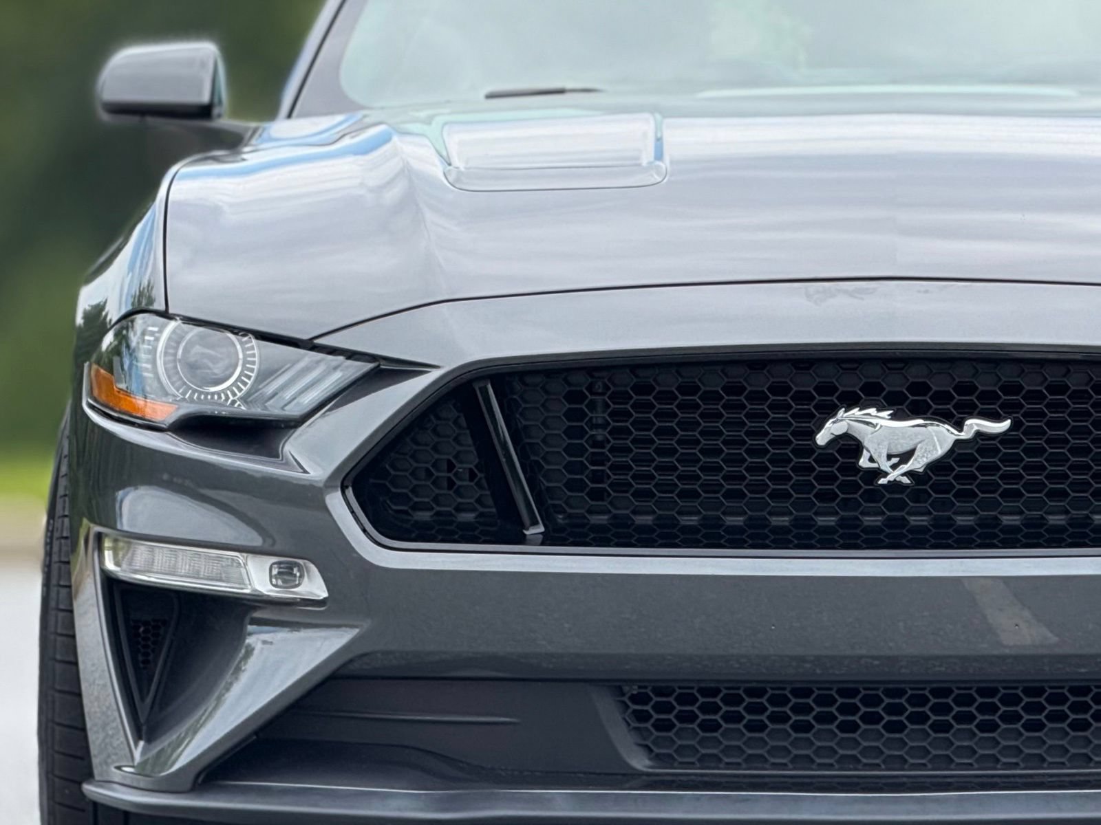 Used 2019 Ford Mustang GT RWD image 14