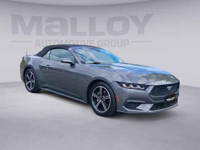 Used 2024 Ford Mustang Premium image 7