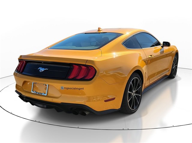 Used 2022 Ford Mustang Coupe w/ Equipment Group 101A image 4