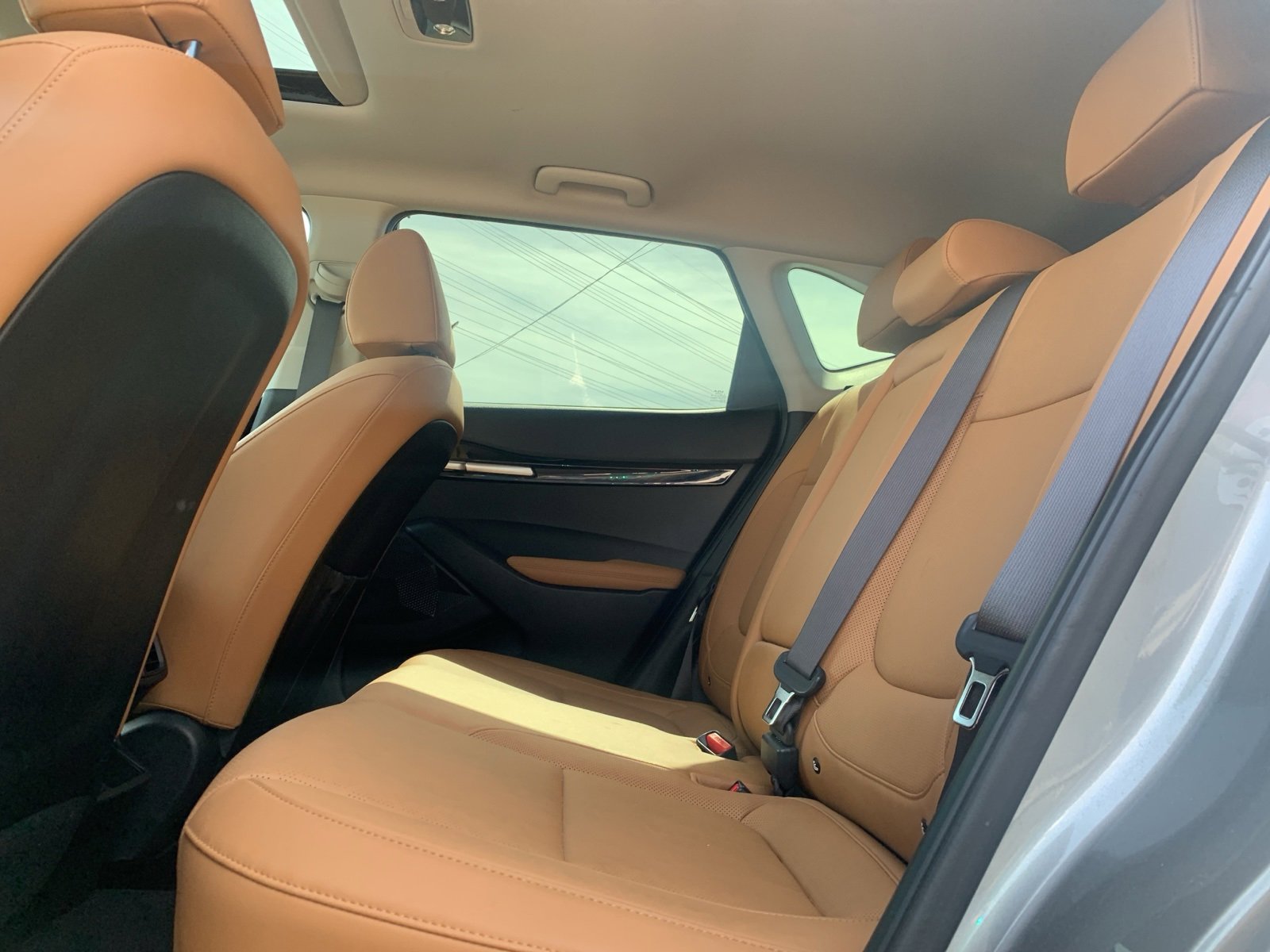 Used 2024 Kia Seltos SX w/ SX Sunroof Package image 8