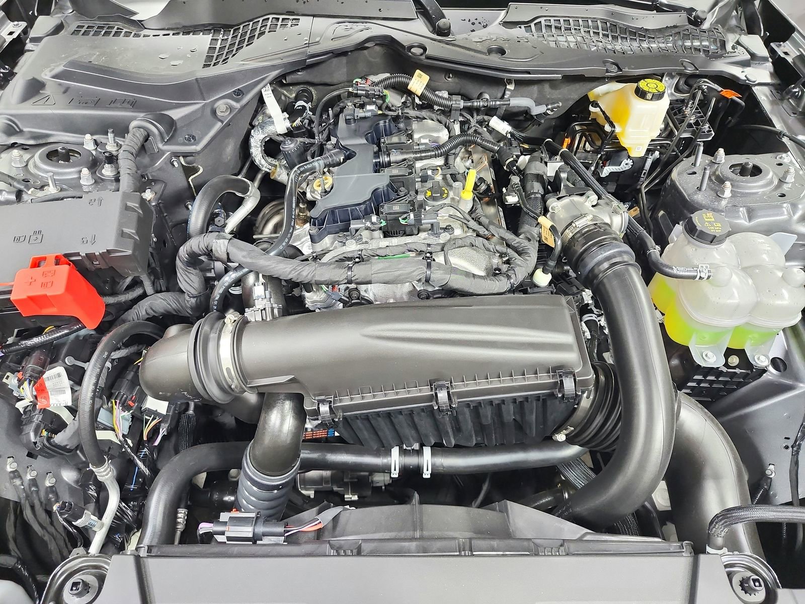 New 2026 Ford Mustang Coupe image 17