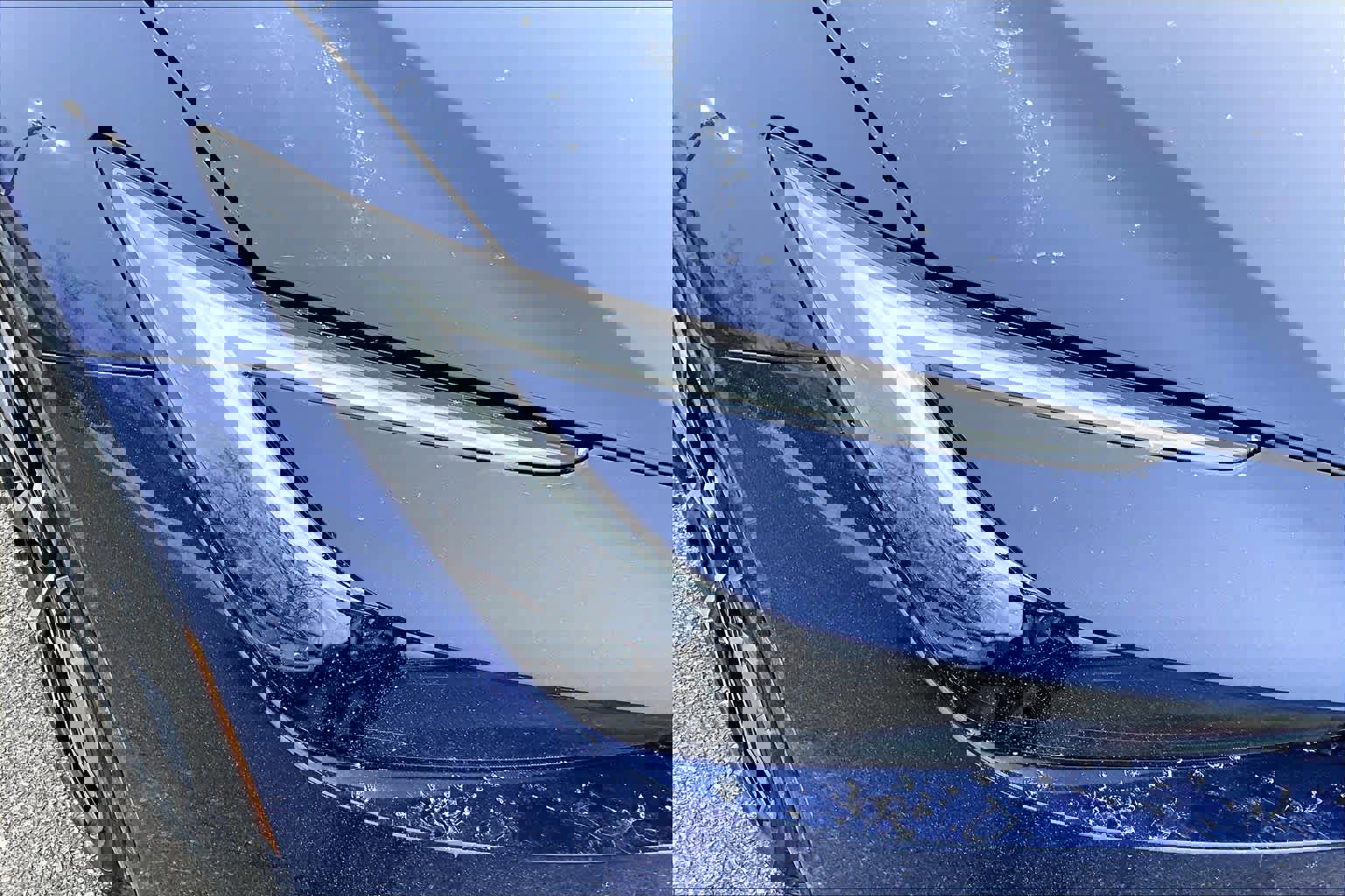 Used 2026 Toyota Prius XSE image 13