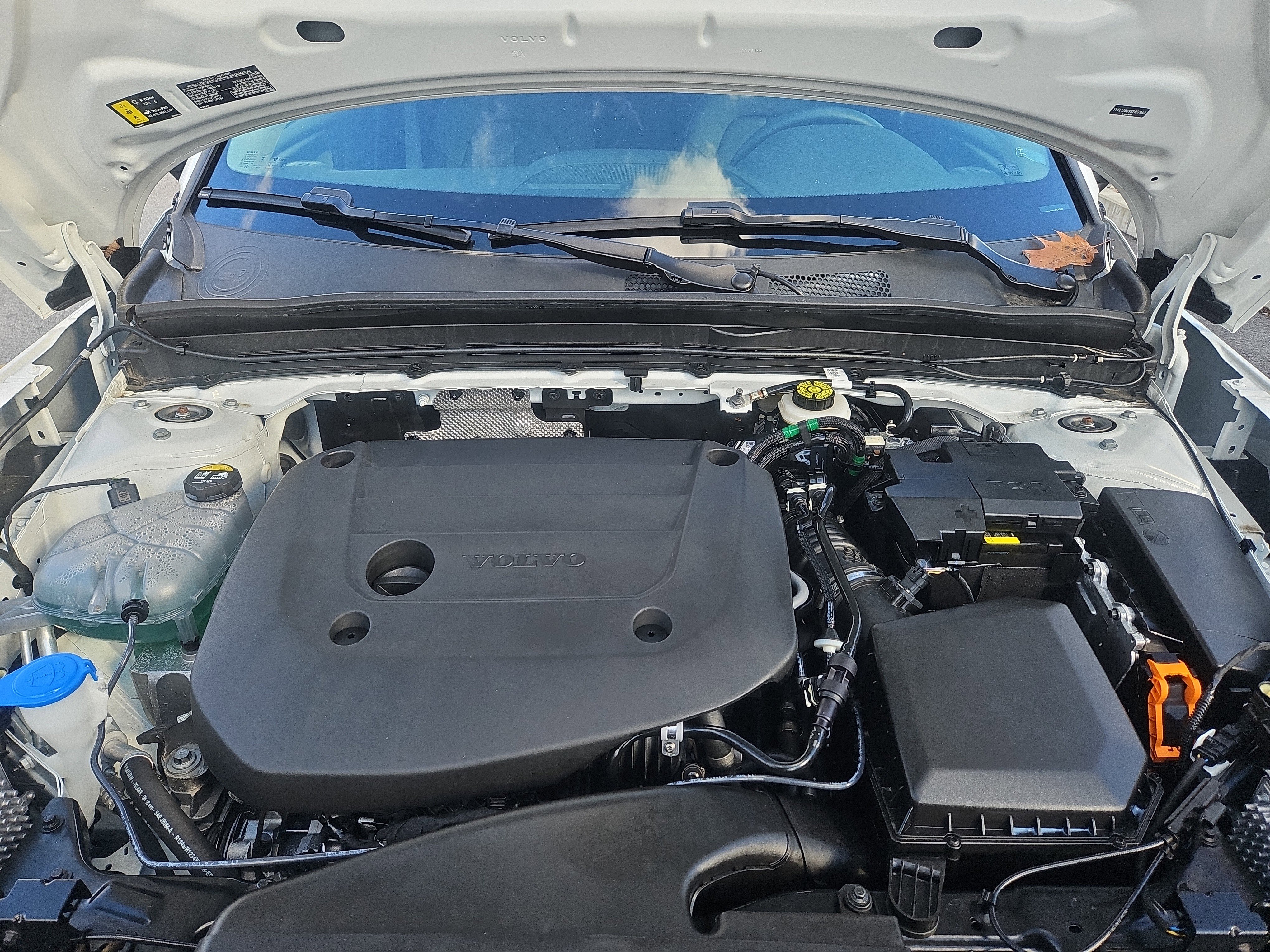 Used 2025 Volvo XC40 B5 Plus w/ Protection Package Premier image 35