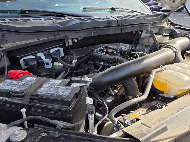 Used 2025 Ford F150 XLT w/ Equipment Group 301A Standard image 24