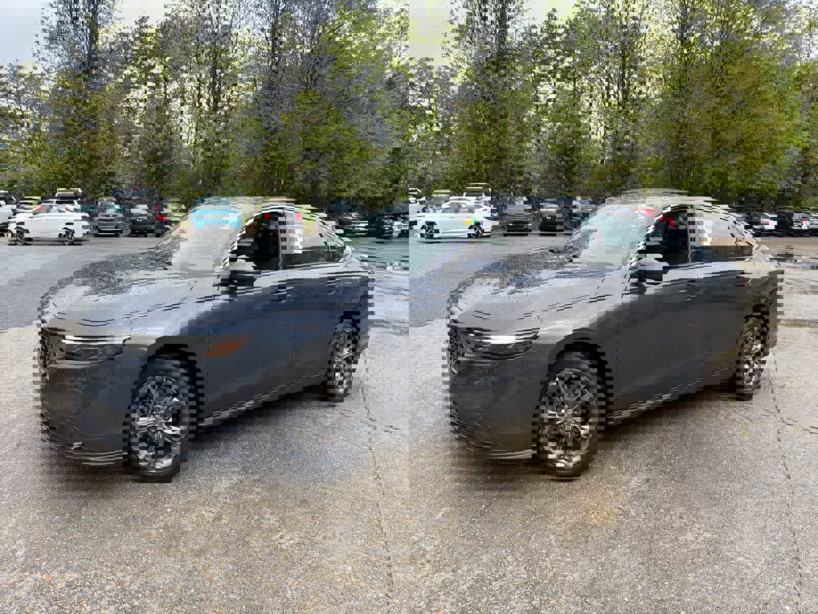 Used 2024 Honda Accord EX image 5