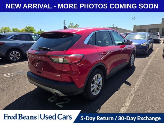 Used 2020 Ford Escape SE FWD image 6