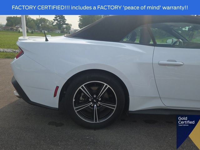 Used 2025 Ford Mustang Premium RWD image 11