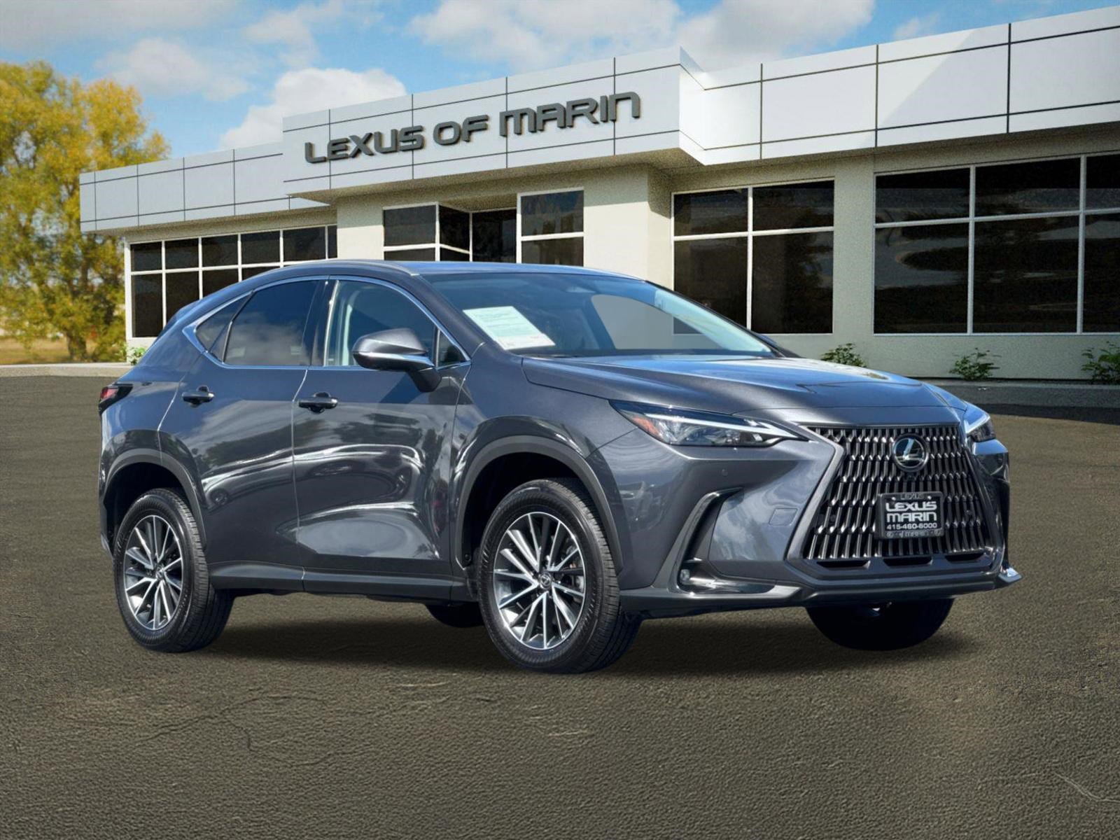 Certified 2025 Lexus NX 350h AWD w/ Cold Area Package image 6