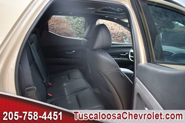 Used 2024 Hyundai Santa Cruz Limited image 23