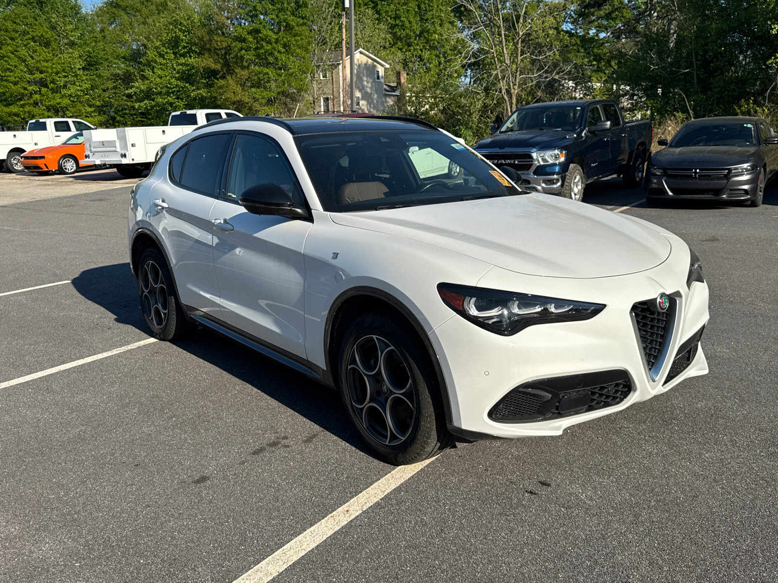 Used 2024 Alfa Romeo Stelvio Ti image 3
