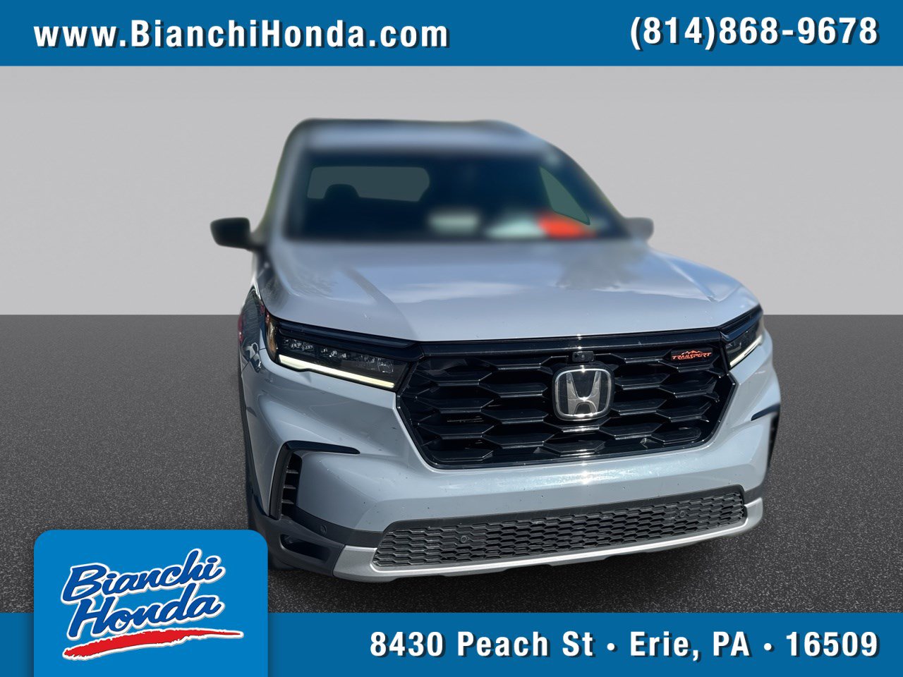 Used 2025 Honda Pilot TrailSport image 1