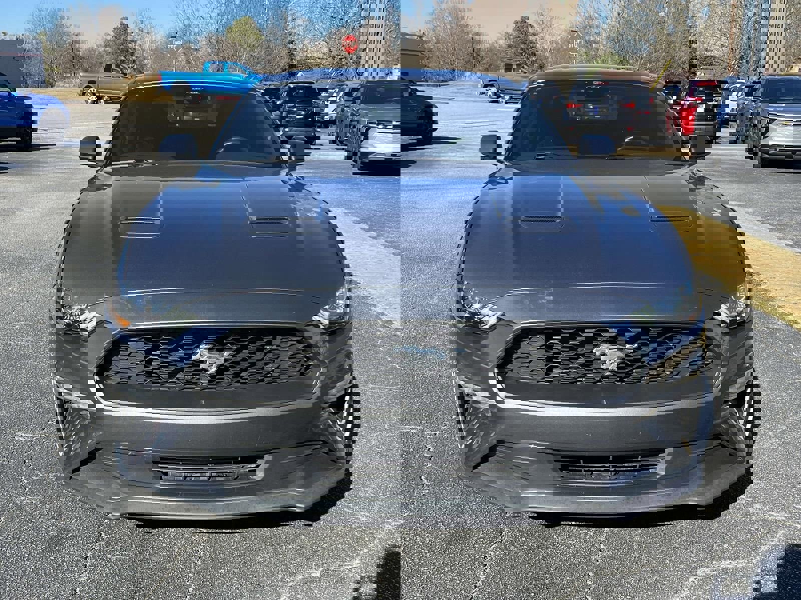 Used 2023 Ford Mustang Coupe w/ Equipment Group 101A image 8