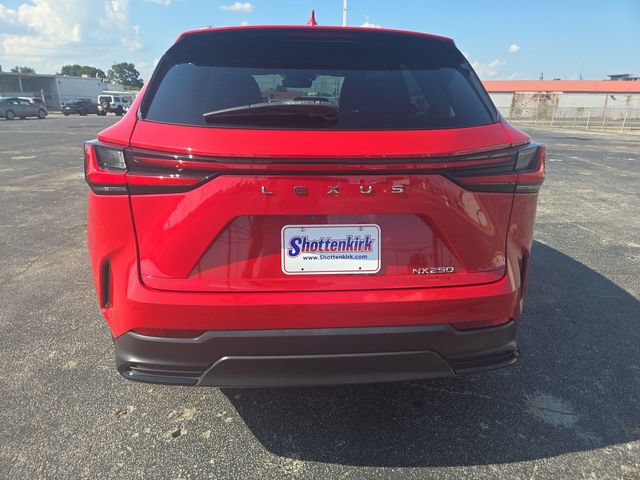Used 2024 Lexus NX 250 FWD image 7
