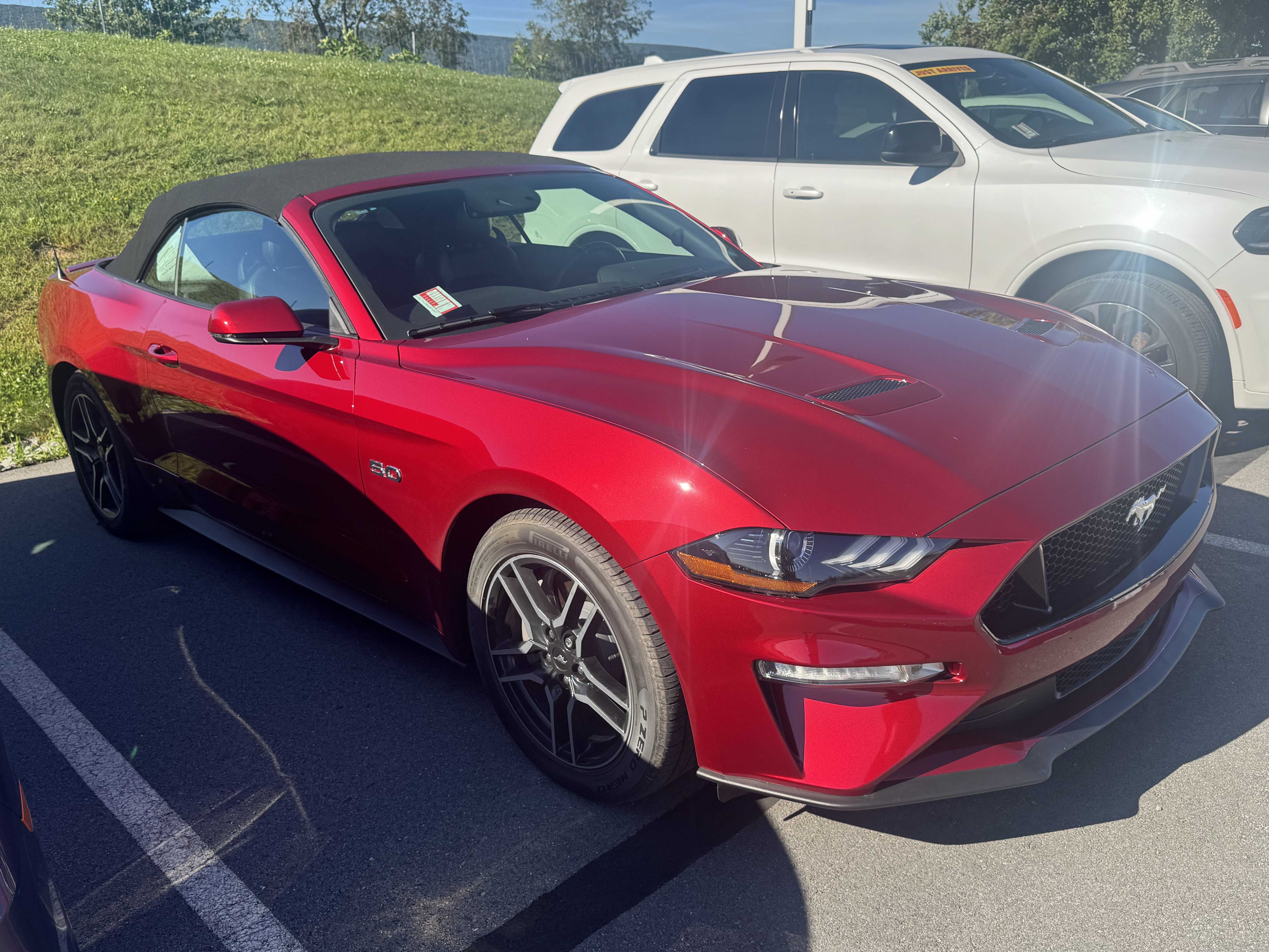 Used 2019 Ford Mustang GT Premium w/ Equipment Group 401A