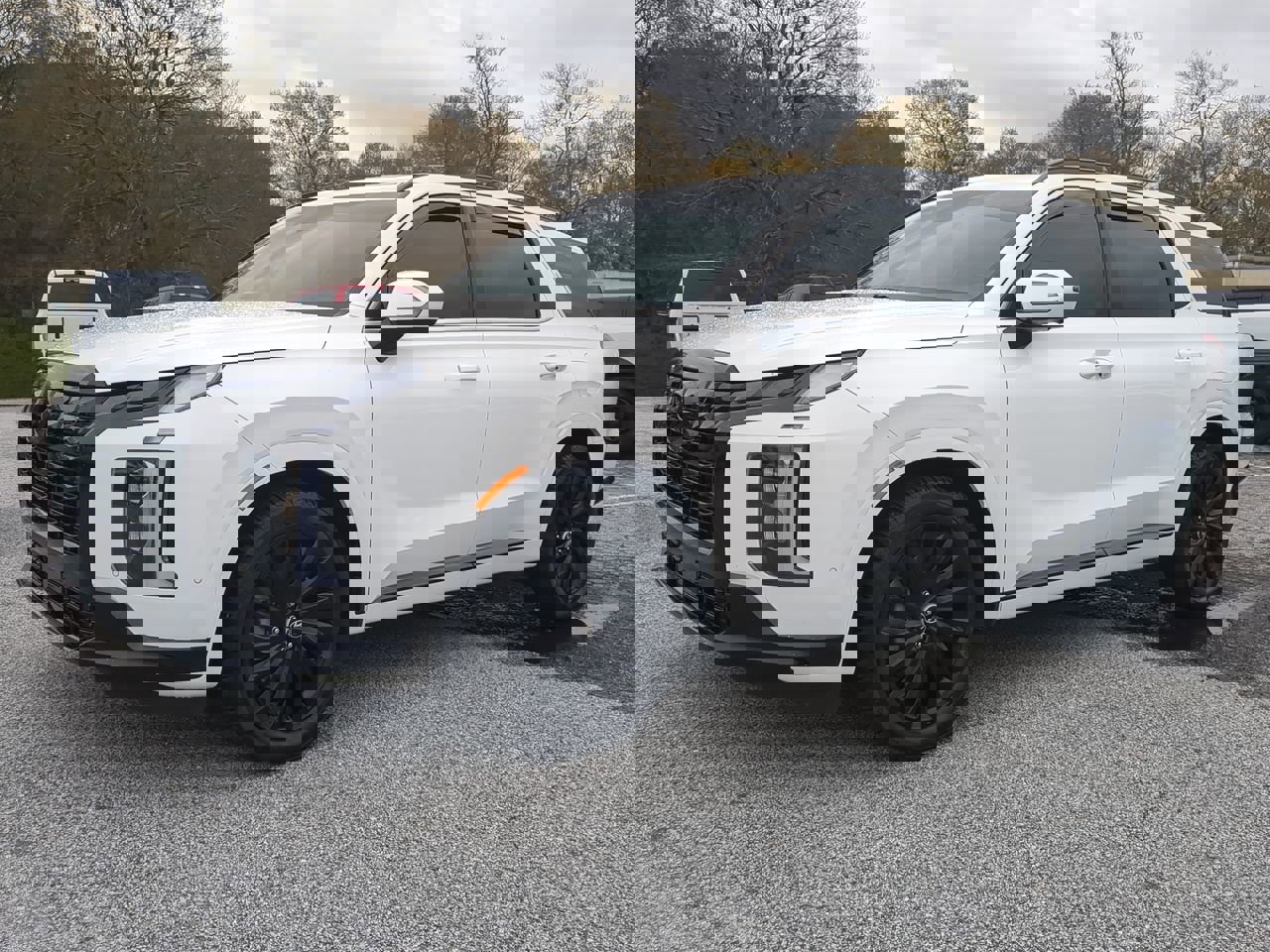 Used 2025 Hyundai Palisade Calligraphy image 6