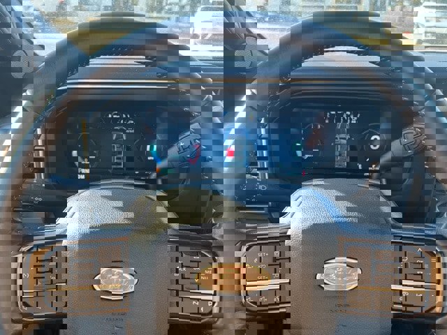 Used 2025 Ford F450 Platinum w/ FX4 Off-Road Package image 24