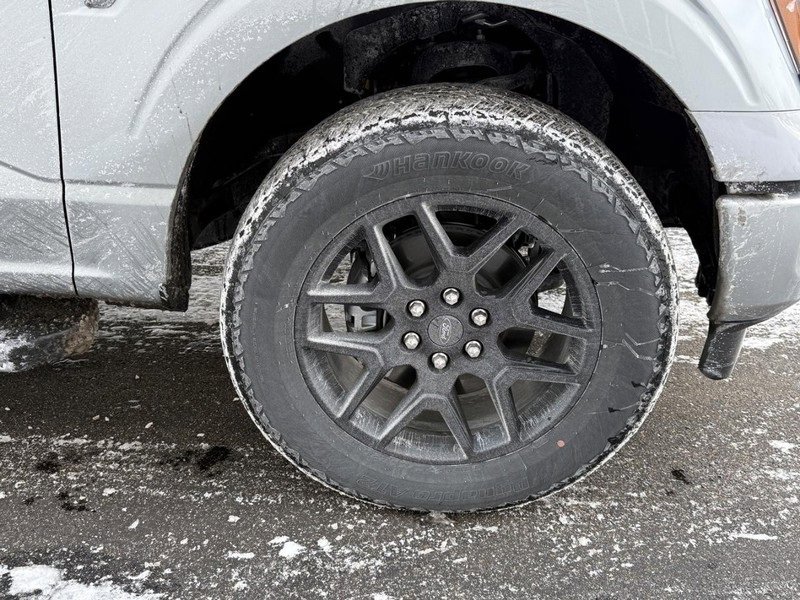 New 2025 Ford F150 STX w/ STX Black Appearance Package image 8