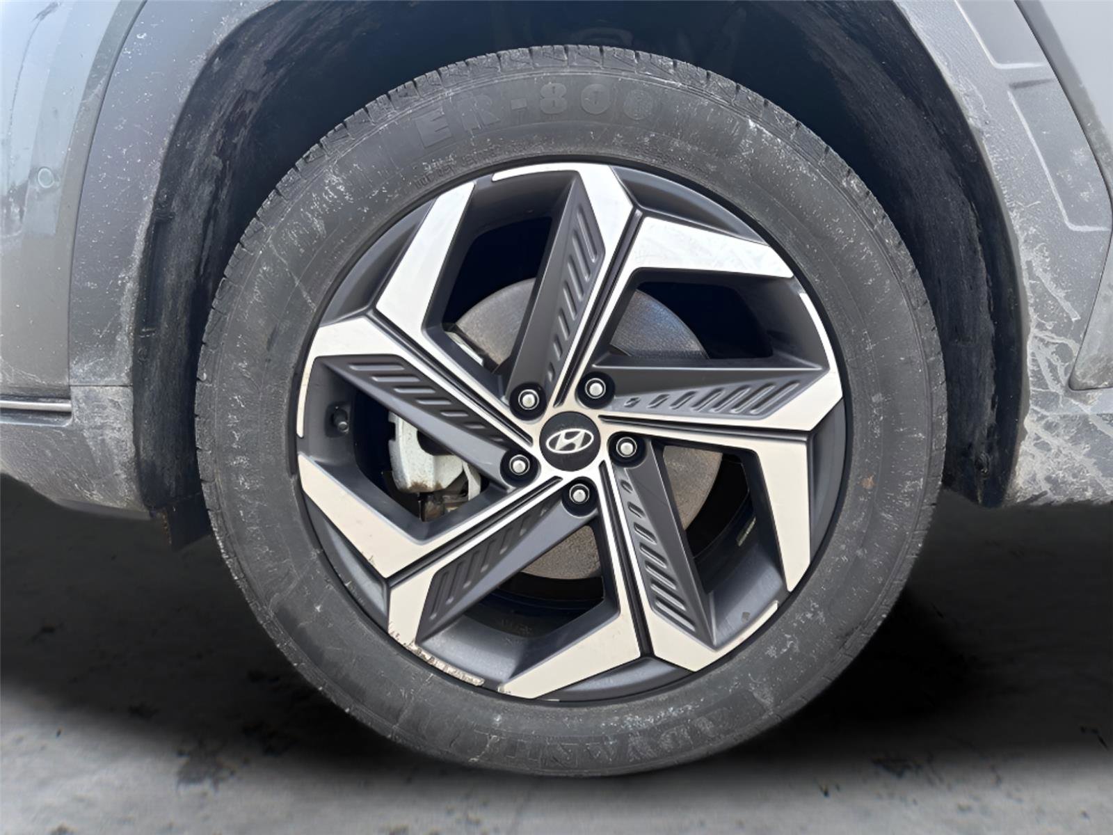 Used 2024 Hyundai Tucson Limited image 14