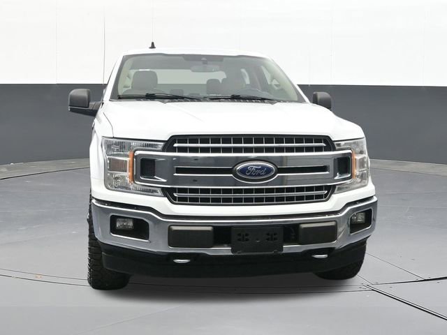Used 2019 Ford F150 XLT w/ Equipment Group 302A Luxury AWD/4WD image 25