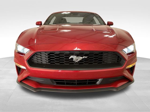 Used 2023 Ford Mustang EcoBoost image 6