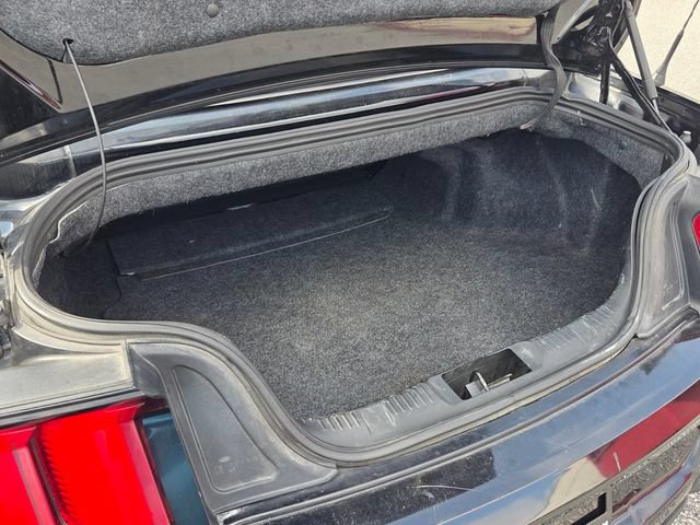 Used 2019 Ford Mustang Premium RWD image 12