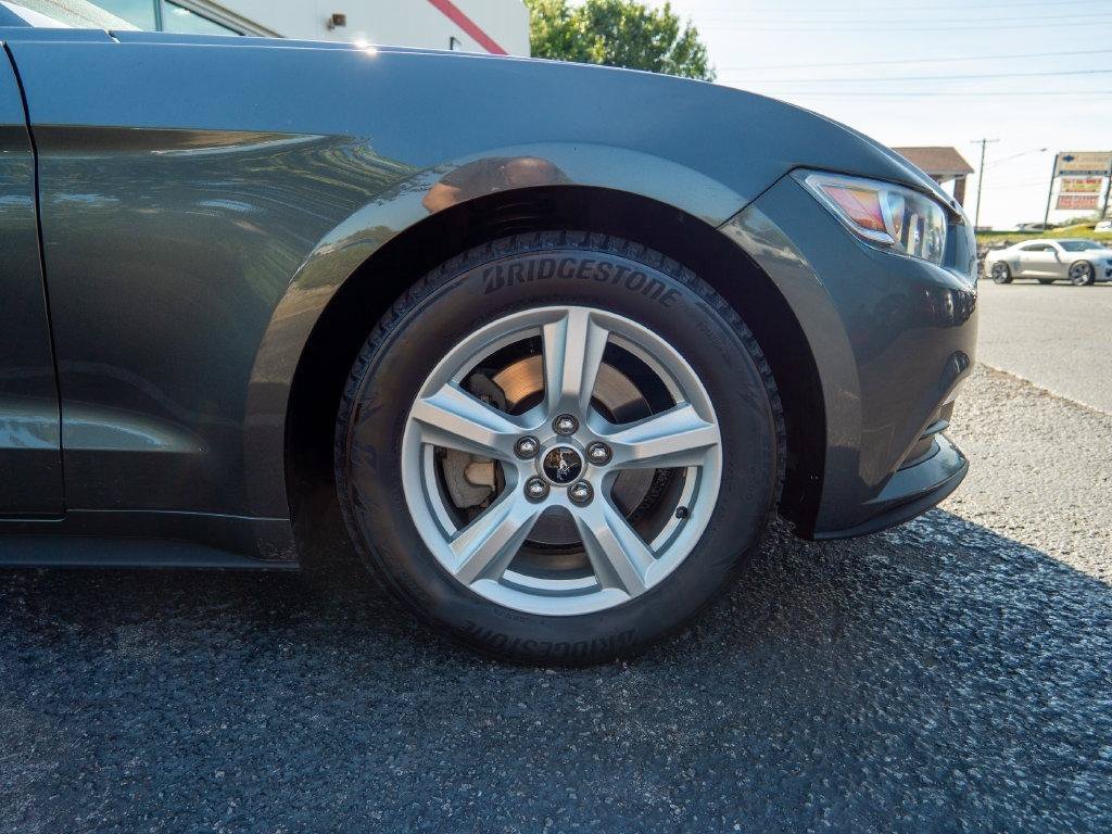 Used 2017 Ford Mustang Coupe RWD image 10