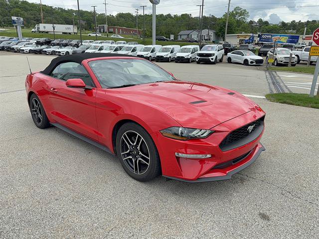 Used 2019 Ford Mustang Premium RWD image 4